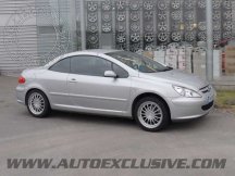 Jantes Auto Exclusive pour votre Peugeot 307