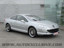 Suspensions pour Peugeot 407 