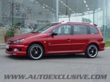 Suspensions pour Peugeot 206 